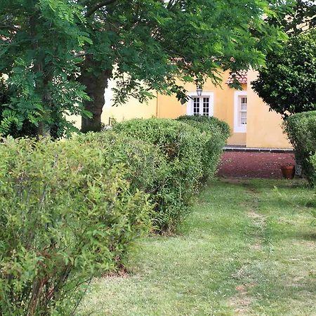 Quinta Do Carmo