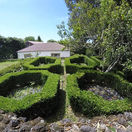 Quinta Do Carmo * Feteiras