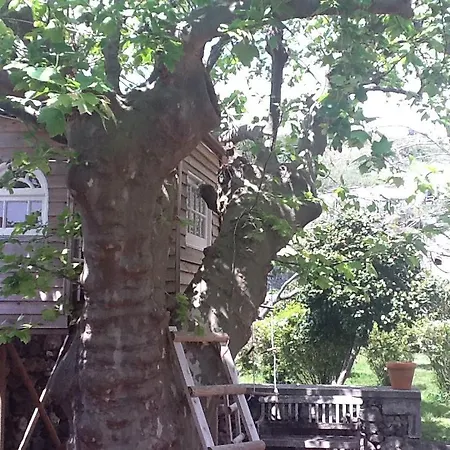 Quinta Do Carmo *